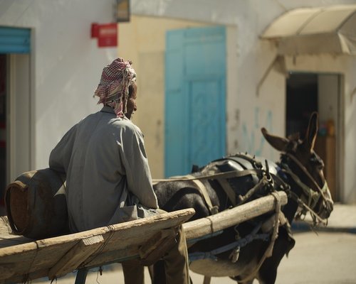 man working on a laptop at home in Tunisia
